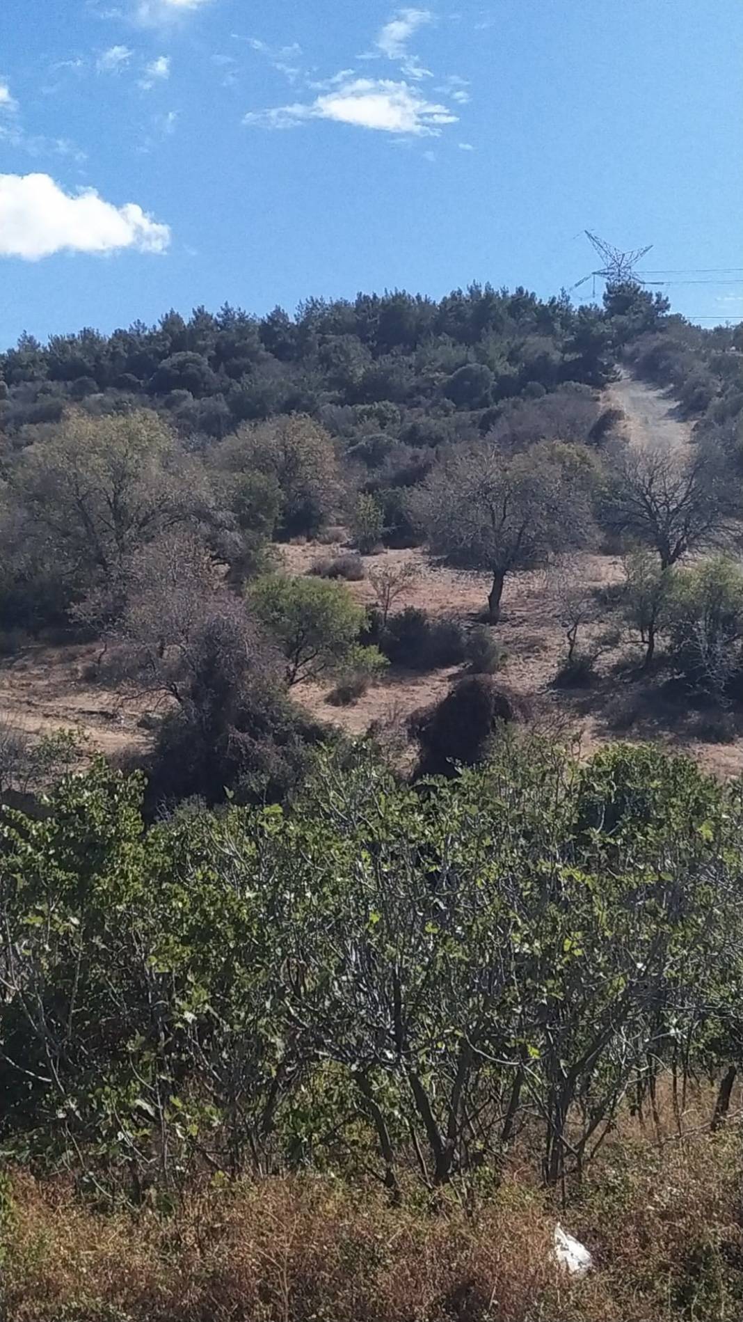 Aliağa Bozköy Köyü Resimleri 1