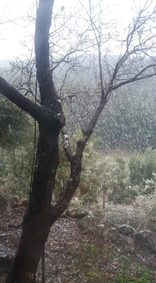 Aliağa Bozköy Köyü Resimleri 2