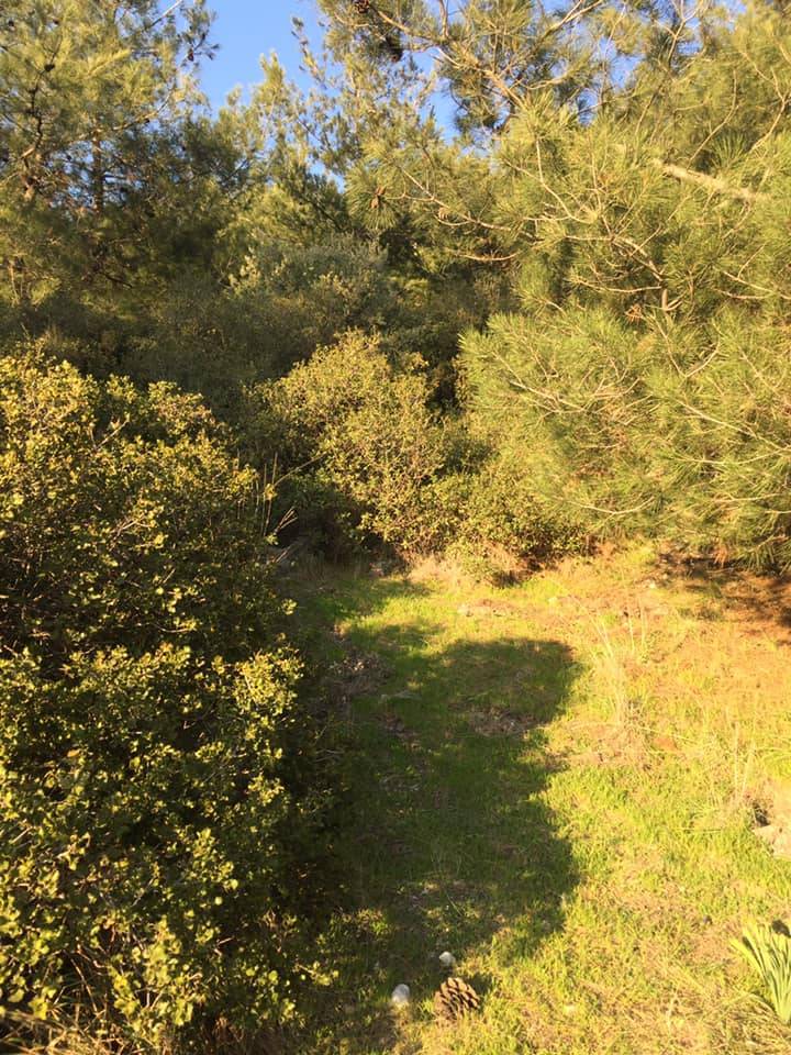 Aliağa Bozköy Köyü Resimleri 4