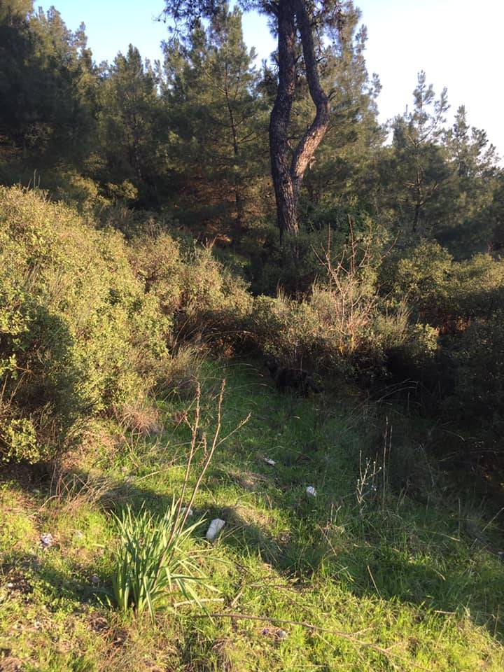 Aliağa Bozköy Köyü Resimleri 6