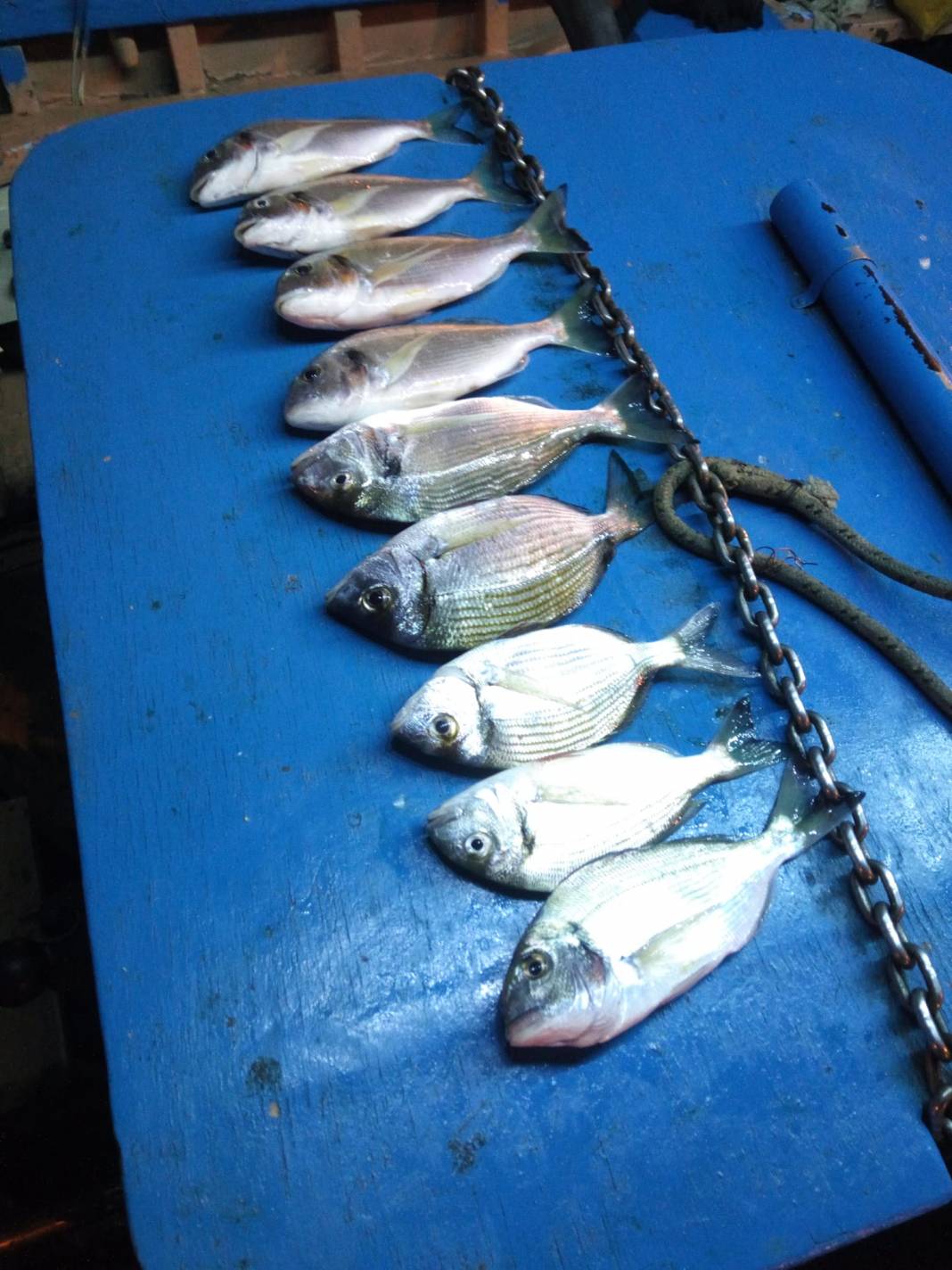 Aliağa Çakmaklı Köyü Resimleri 11