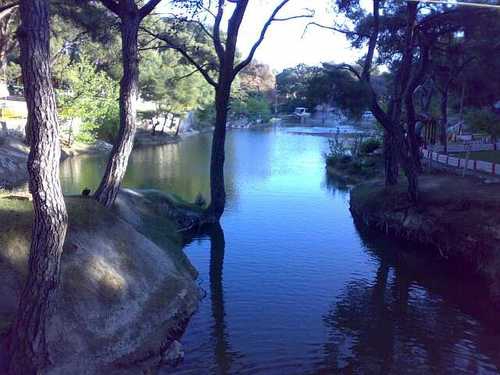 Akhisar Zeytinliova Köyü Resimleri 1