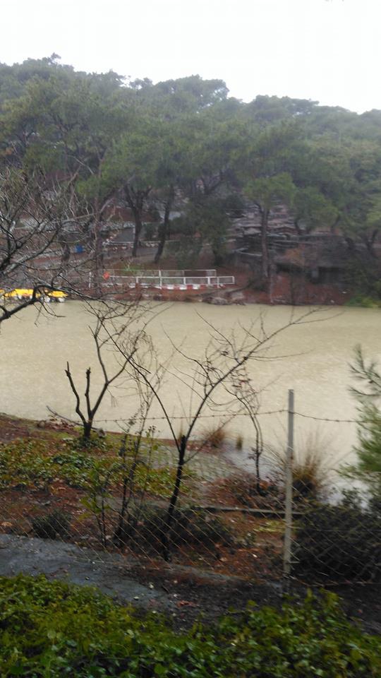 Akhisar Zeytinliova Köyü Resimleri 5