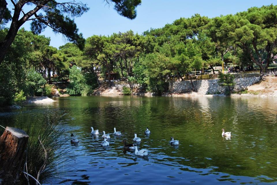 Akhisar Zeytinliova Köyü Resimleri 7