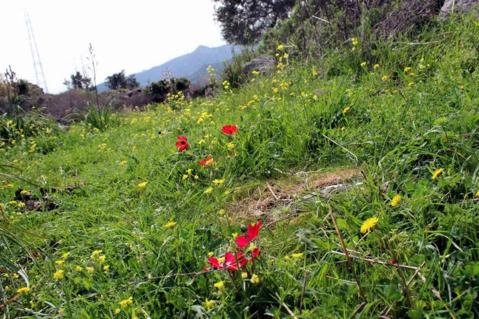 Aliağa Çıtak Köyü Resimleri 8