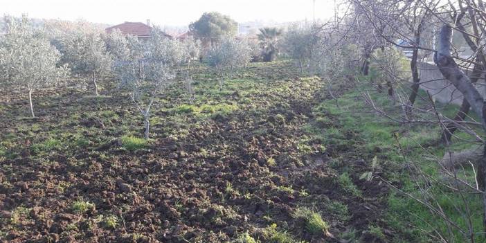 Aliağa Çoraklar Köyü Resimleri