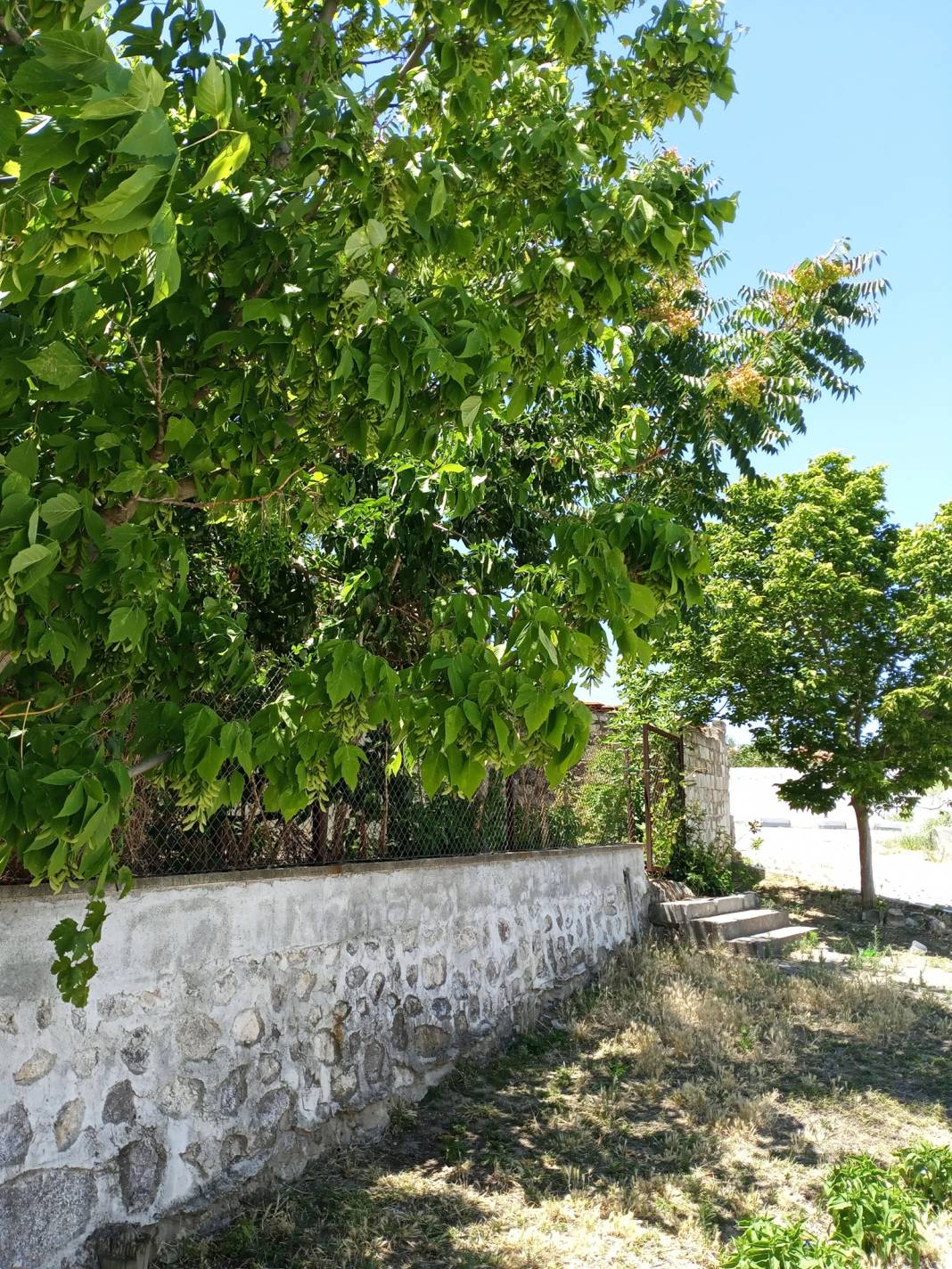 Aliağa Güzelhisar Köyü Resimleri 7