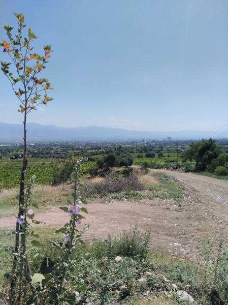 Alaşehir Akkeçili Köyü Resimleri 5