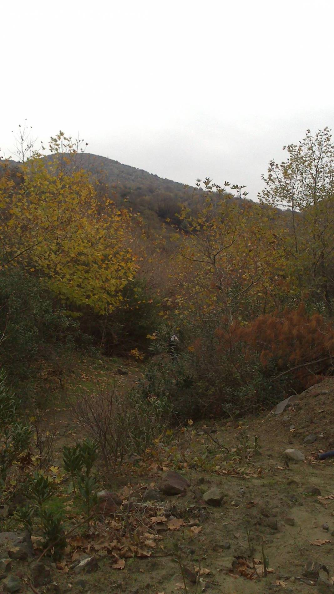 Aliağa Karakuzu Köyü Resimleri 3