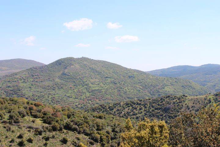 Aliağa Karakuzu Köyü Resimleri 7