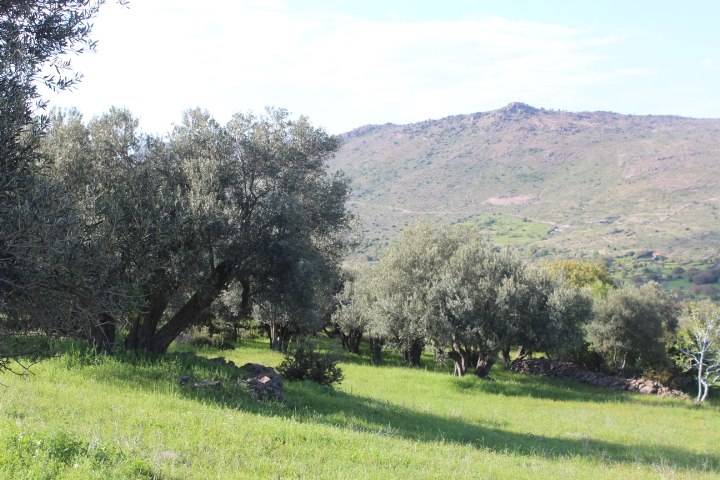 Aliağa Karakuzu Köyü Resimleri 8