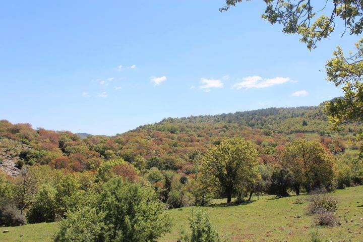 Aliağa Karakuzu Köyü Resimleri 9