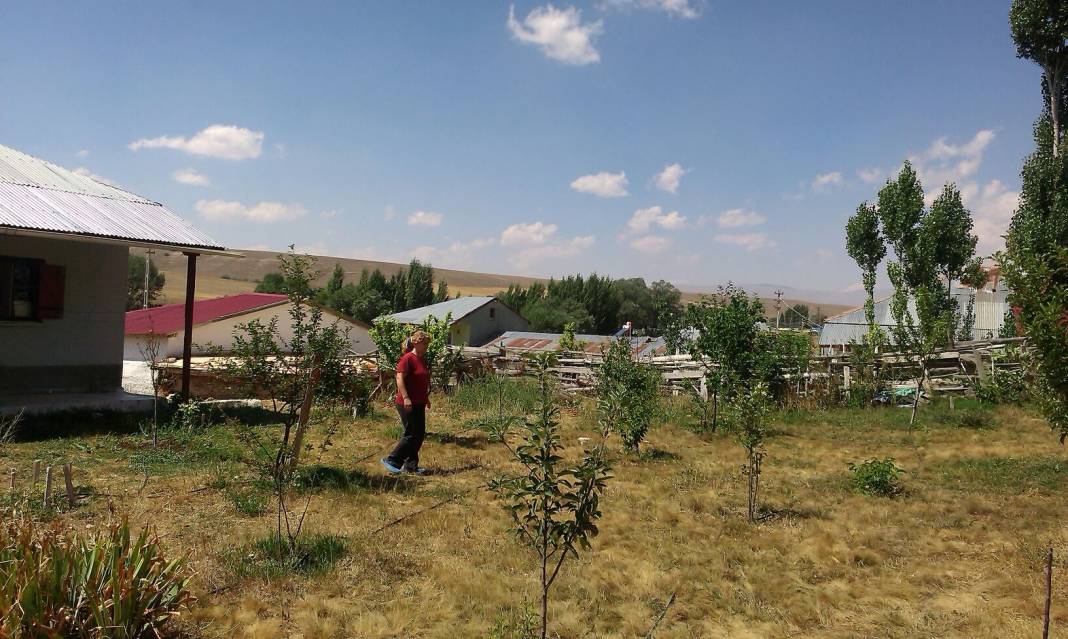 Pınarbaşı Aşağıkızılçevlik Köyü Resimleri 1