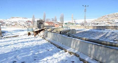 Pınarbaşı Ayvacık Köyü Resimleri 2