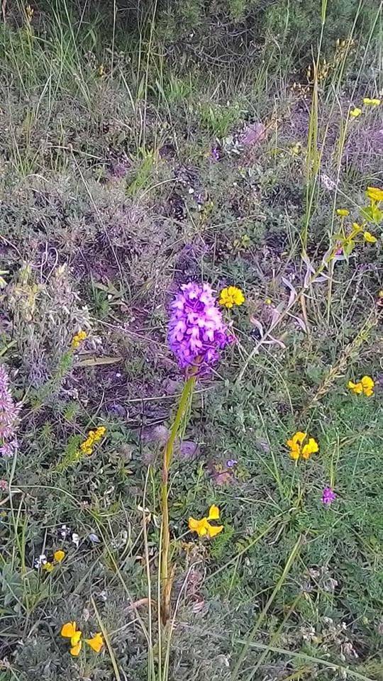 Pınarbaşı Bahcecik Köyü Resimleri 2