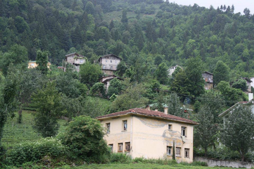 İkizdere Ayvalık Köyü Resimleri 10