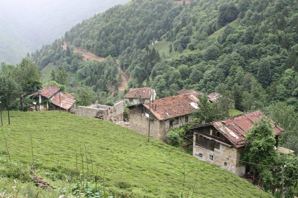 İkizdere Ayvalık Köyü Resimleri 11