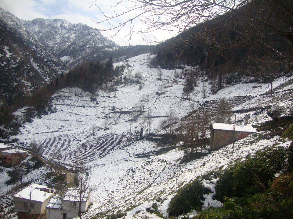 İkizdere Ayvalık Köyü Resimleri 3