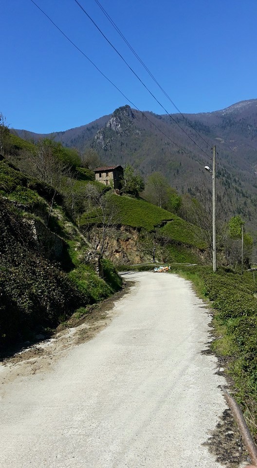 İkizdere Ayvalık Köyü Resimleri 4