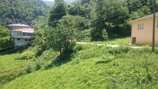 İkizdere Ayvalık Köyü Resimleri 5