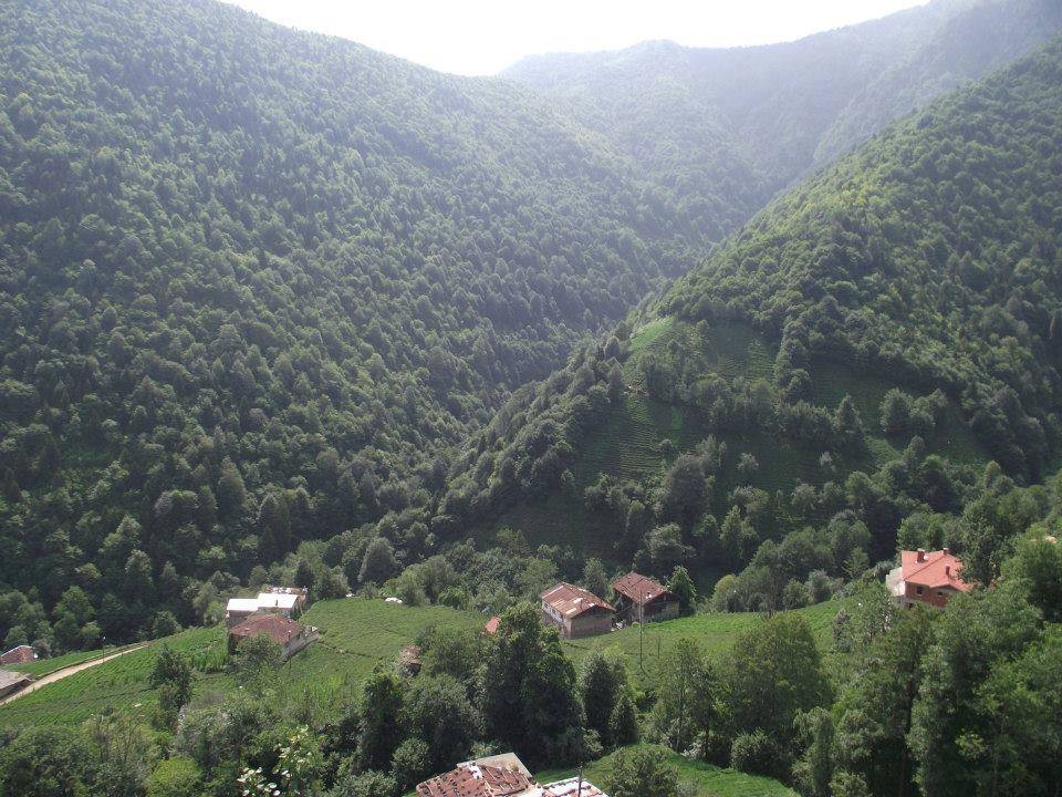 İkizdere Ayvalık Köyü Resimleri 7