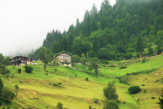 İkizdere Ballıköy Köyü Resimleri 5