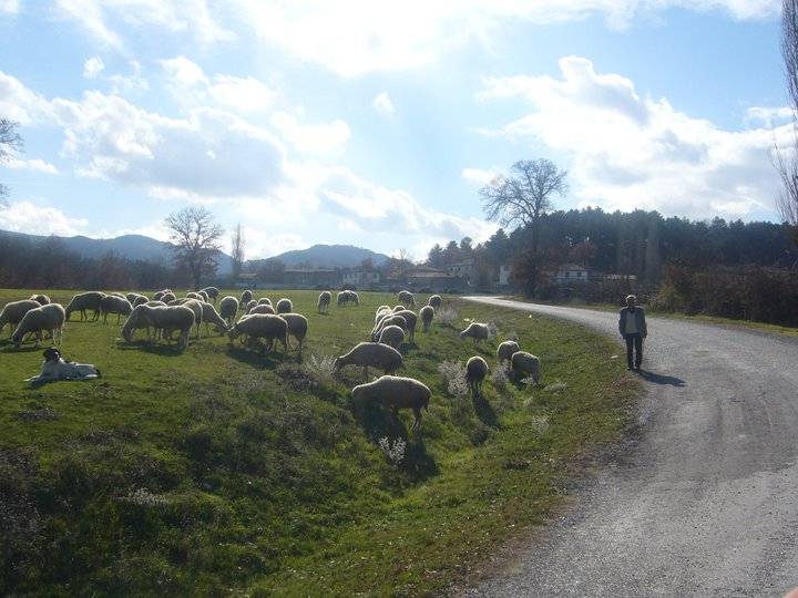 Hisarcık Yenipınar Köyü Resimleri 3