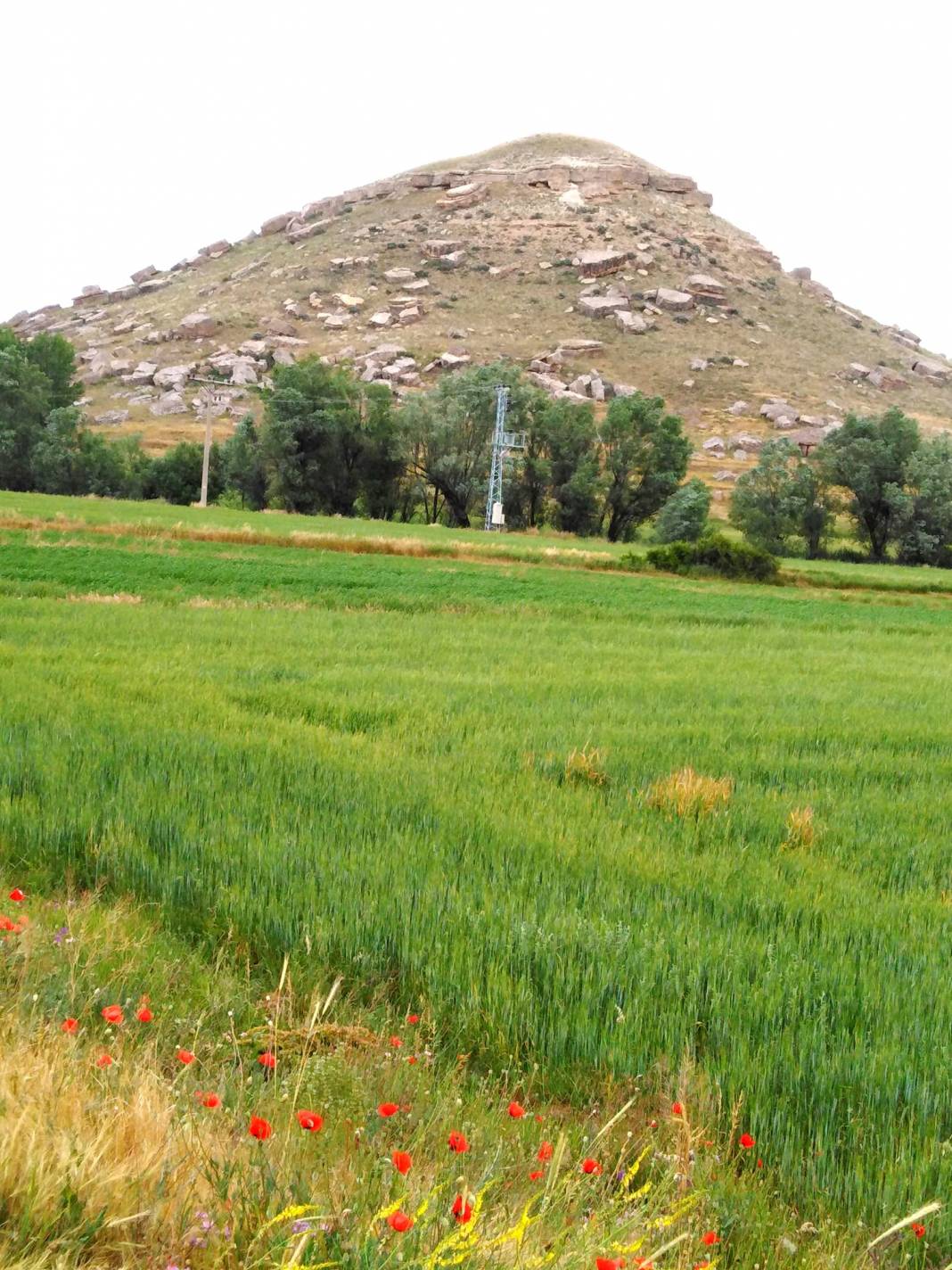 Pınarbaşı Çaybaşı Köyü Resimleri 1