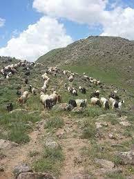 Erciş Kordoğan Köyü Resimleri 1