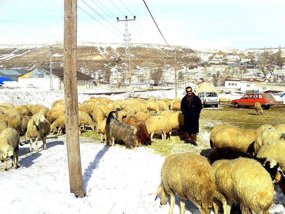 Pınarbaşı Dikilitaş Köyü Resimleri 4