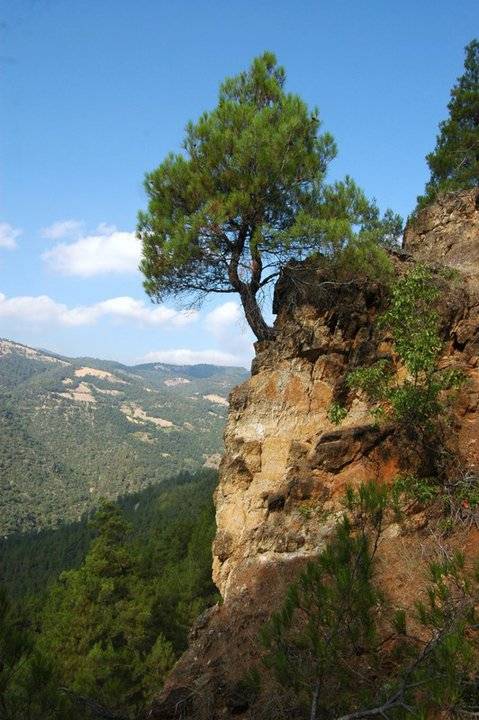 Büyükorhan Burunca Köyü Resimleri 3