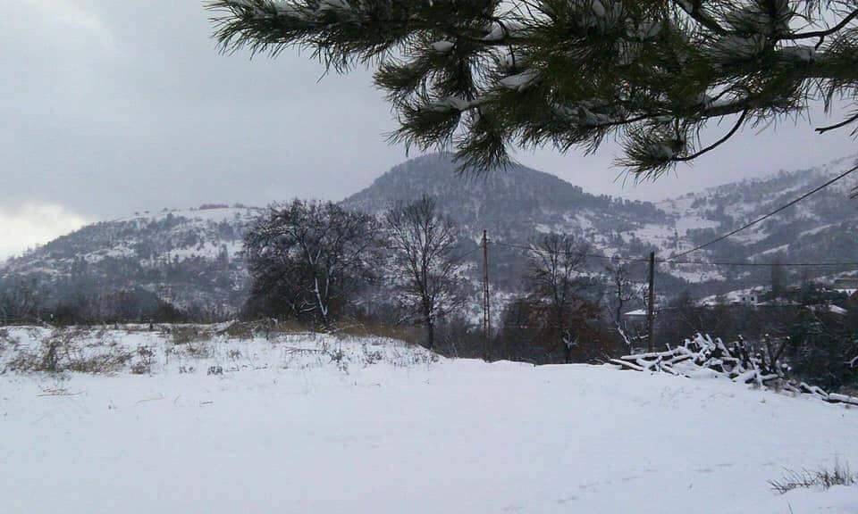 Büyükorhan Çakıryenice Köyü 1