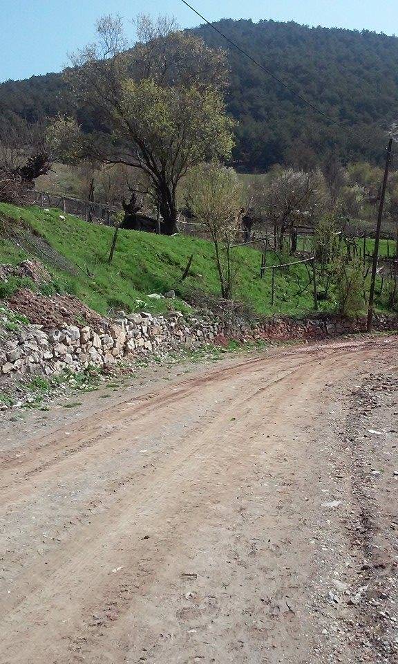 Büyükorhan Danaçalı Köyü 2