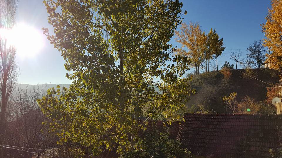 Pazarlar Örey Köyü Resimleri 4