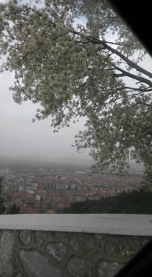 Pazarlar Tepeköy Köyü Resimleri 2