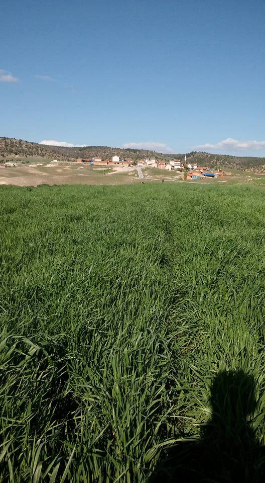 Pazarlar Tepeköy Köyü Resimleri 3