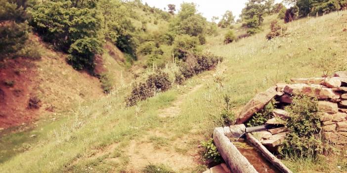 Pazarlar Tepeköy Köyü Resimleri