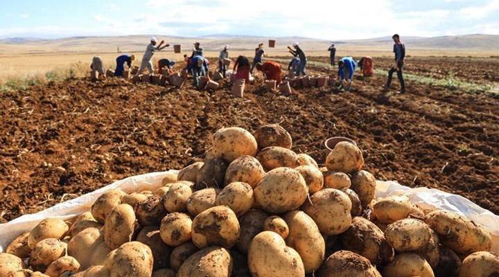 Pınarbaşı Eskiyassıpınar Köyü Resimleri 1