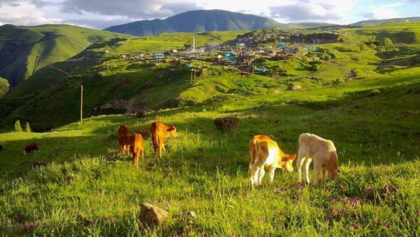 Çıldır Akkiraz Köyü Resimleri 11