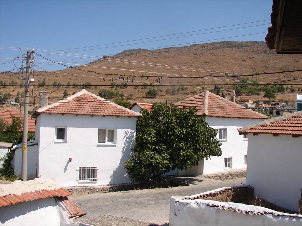 Aliağa Mimar Sinan Köyü Resimleri 2