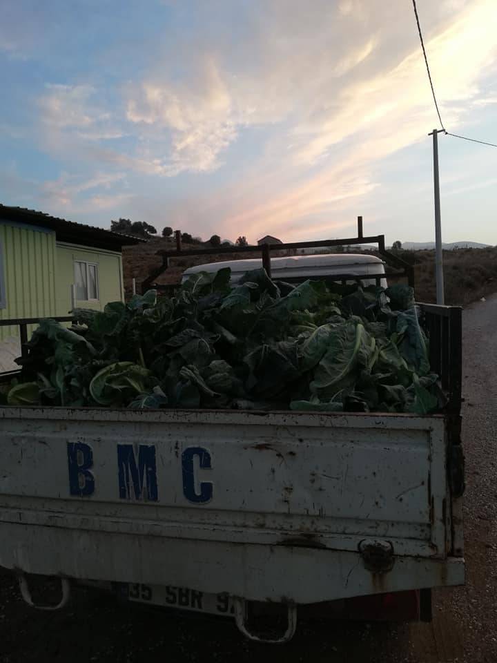 Aliağa Uzunhasanlar Köyü Resimleri 2