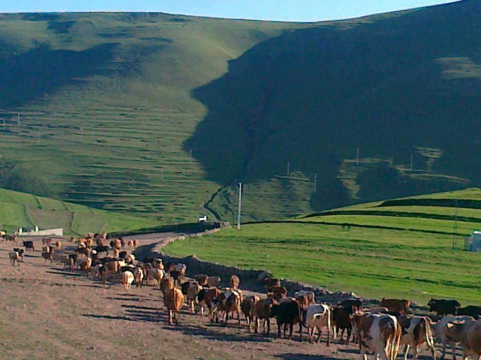 Çıldır Aşağıcambaz Köyü Resimleri 2