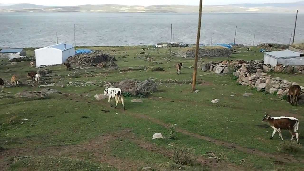 Çıldır Aşağıcambaz Köyü Resimleri 5