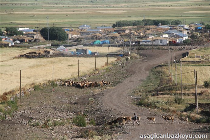 Çıldır Aşağıcambaz Köyü Resimleri 9