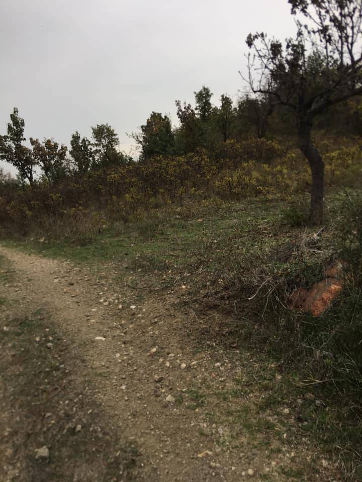 Aliağa Yenişakran Köyü Resimleri 10