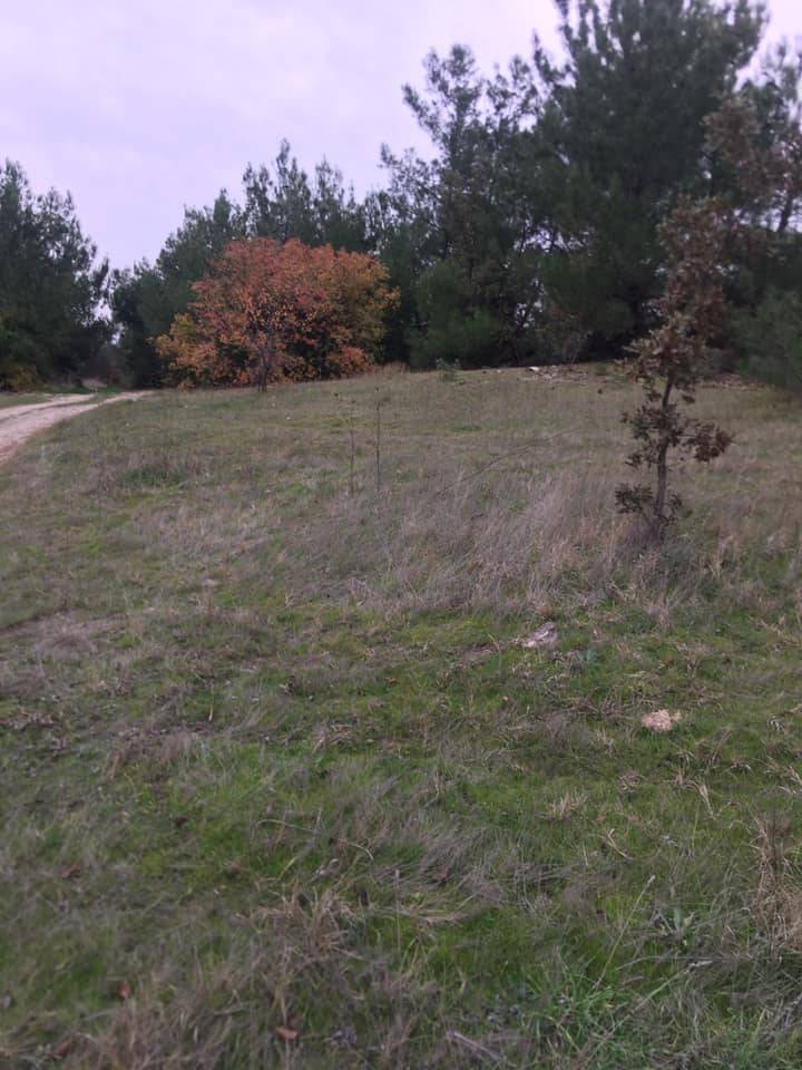 Aliağa Yenişakran Köyü Resimleri 11