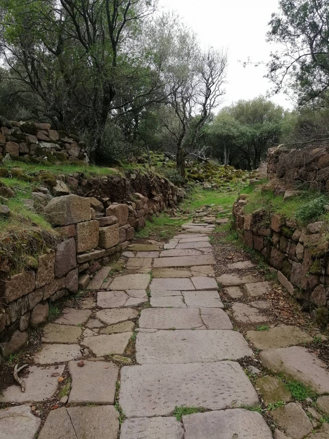 Aliağa Yenişakran Köyü Resimleri 12