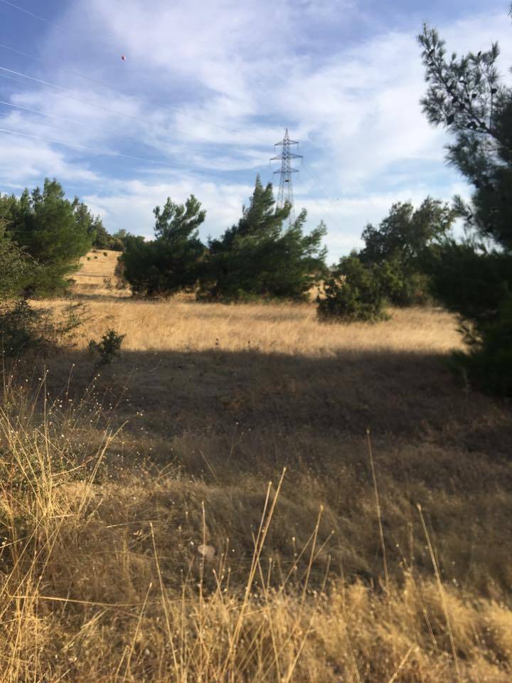 Aliağa Yenişakran Köyü Resimleri 3