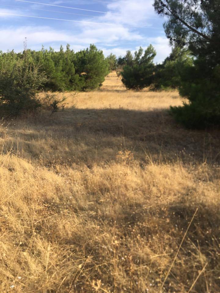 Aliağa Yenişakran Köyü Resimleri 4