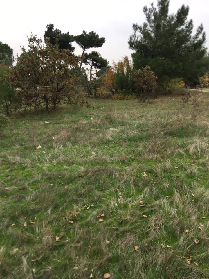 Aliağa Yenişakran Köyü Resimleri 6